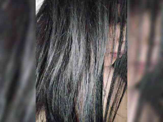 Model: SilverCrystal