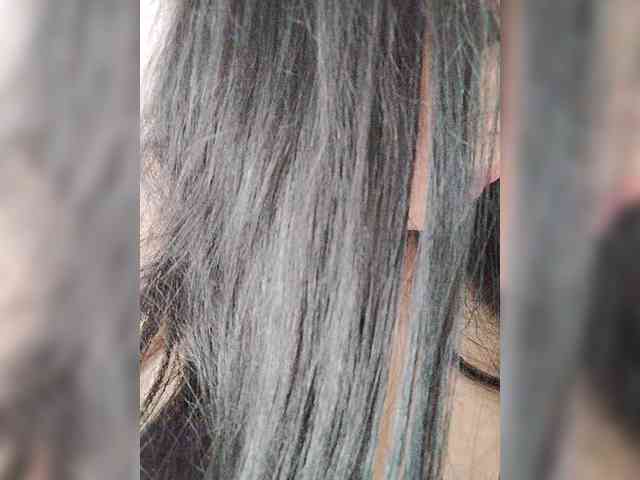 Model: SilverCrystal