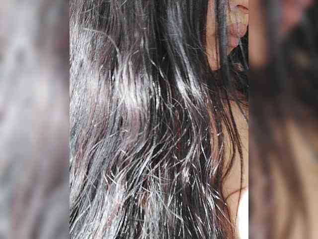 SilverCrystal webcam