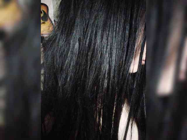 Model: SilverCrystal