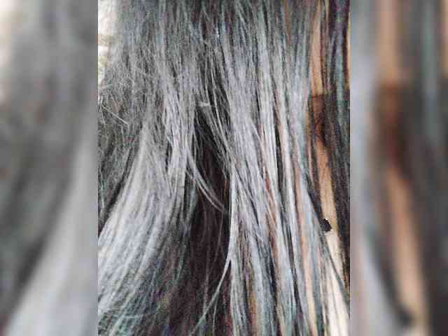 SilverCrystal webcam