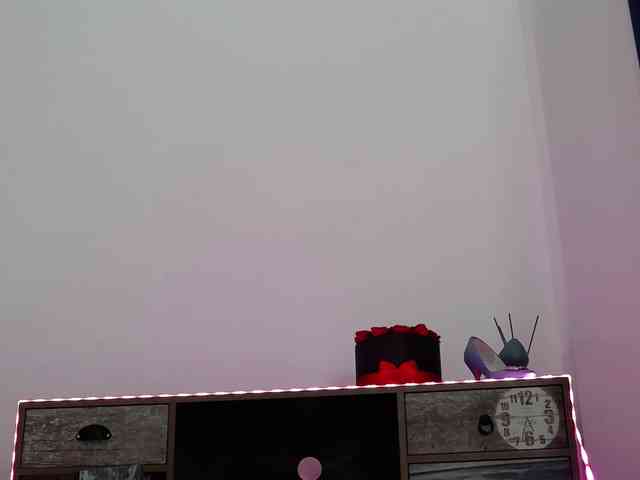 OneHotDiamond webcam