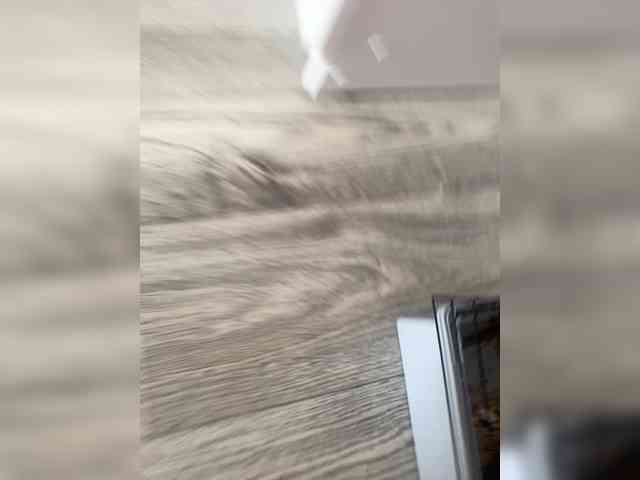 ChristineJackson Live Webcam on BongaCams