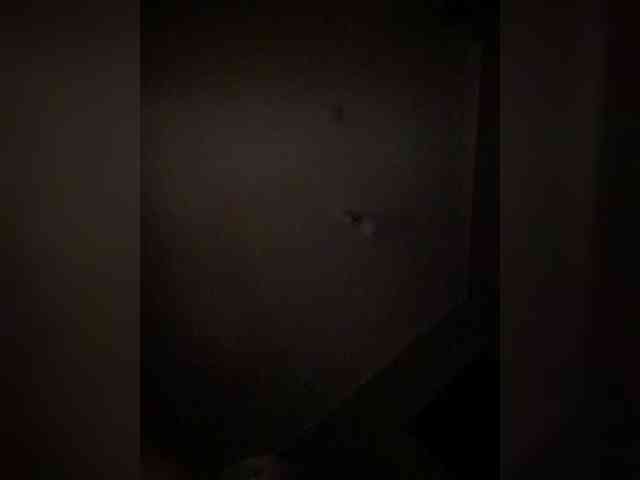 Sex-Milka webcam