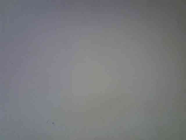 Cute-aliyah webcam
