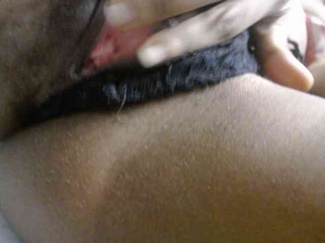 Plumnjuicy webcam