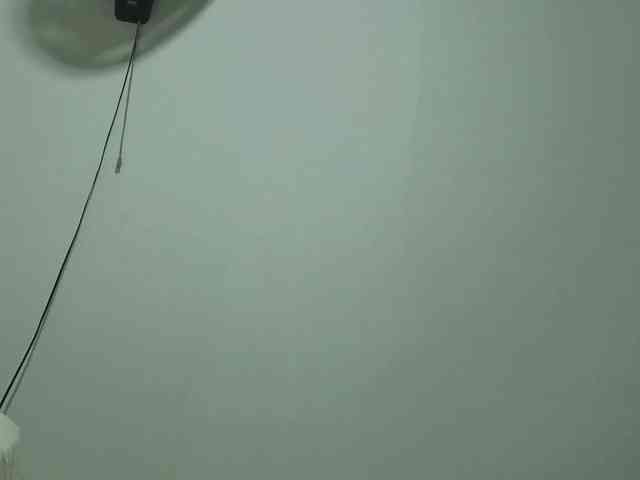 Channelcox1 webcam