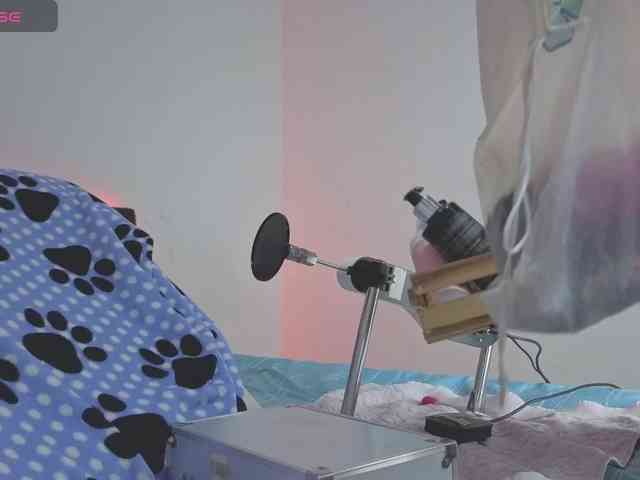 Channelcox1 webcam