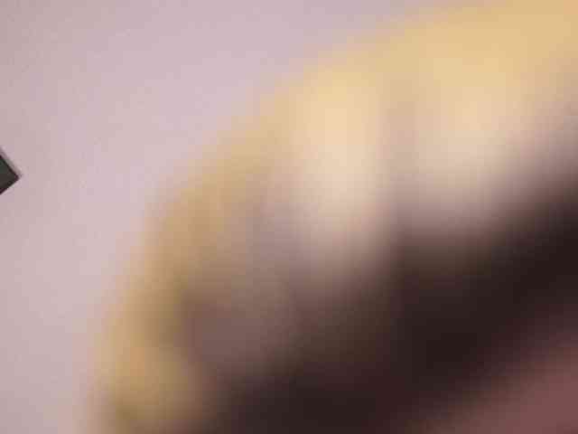 fluffiebaby webcam