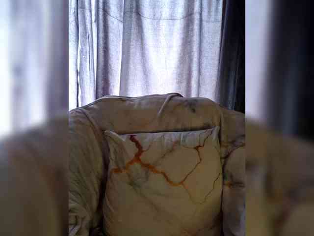 Sensei_11 webcam