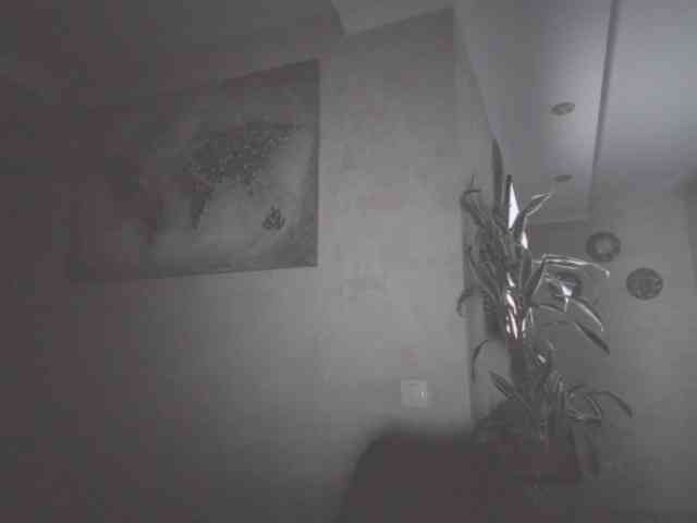 annamari1563 webcam