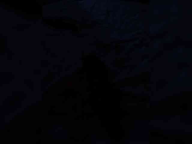 AriSweet webcam