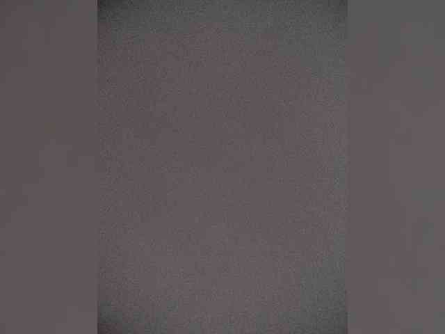 Viviennn webcam