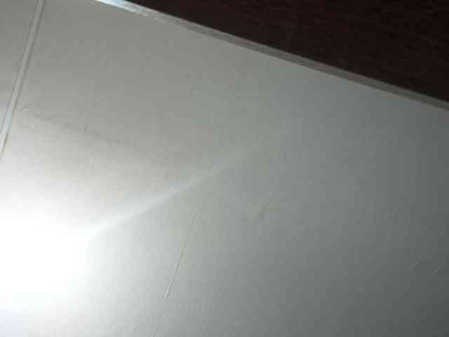 Millie webcam