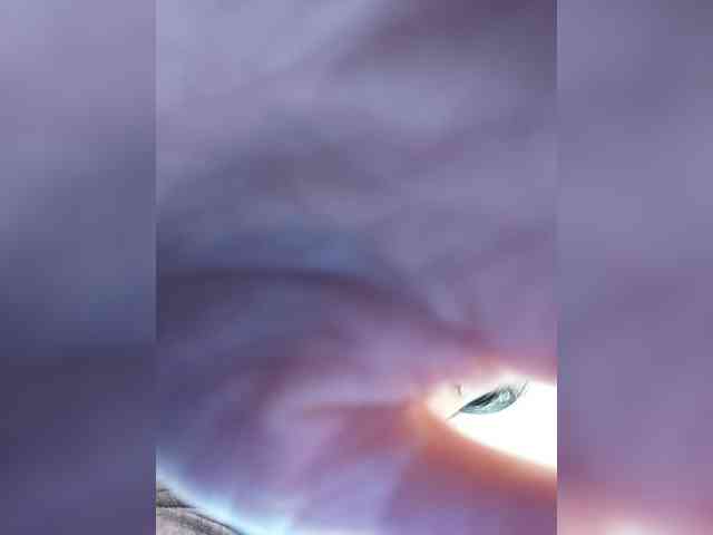 Viviennn webcam