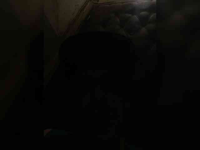 Gostap007