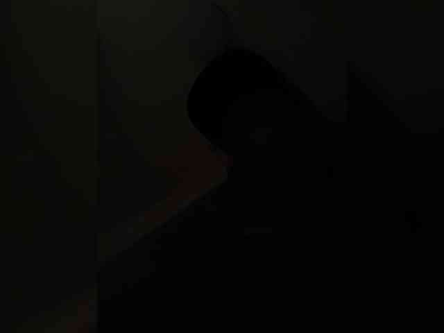 Gostap007