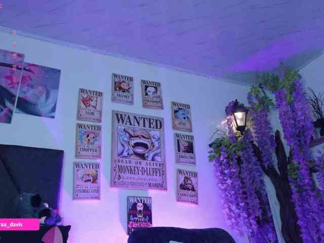 Zaradavis webcam