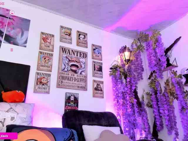 Zaradavis webcam