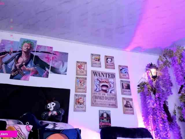 Zaradavis webcam