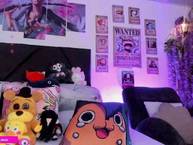 Zaradavis webcam