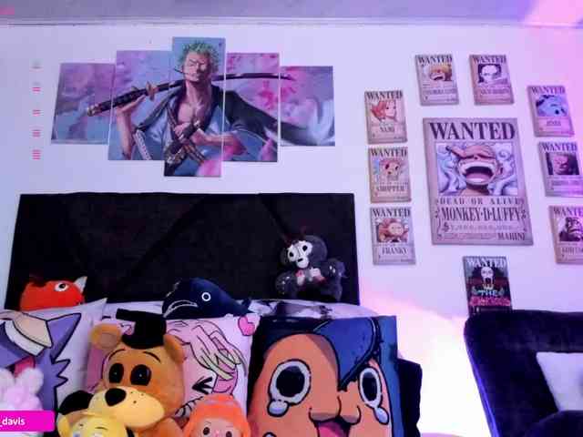 Zaradavis webcam
