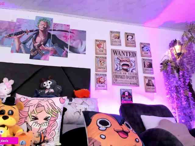 Zaradavis webcam
