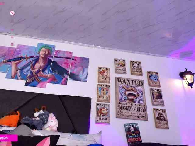 Zaradavis webcam