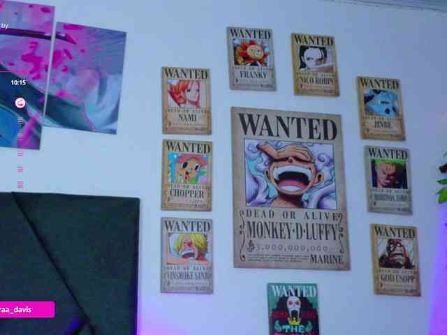 Zaradavis webcam