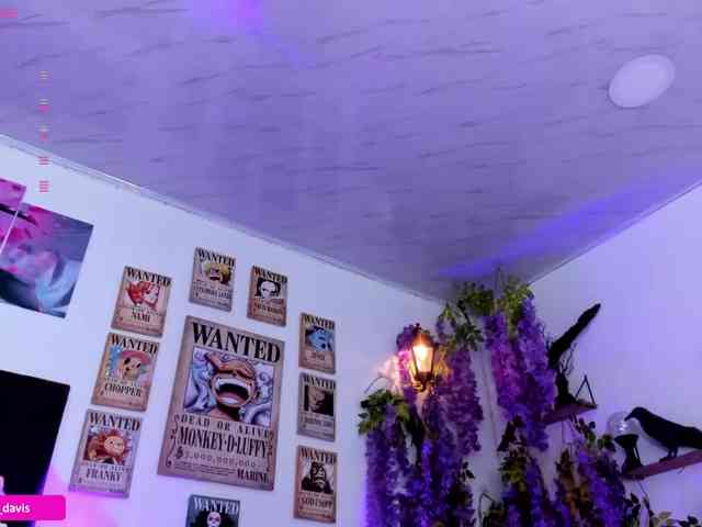 Zaradavis webcam