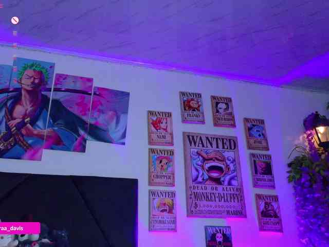 Zaradavis webcam