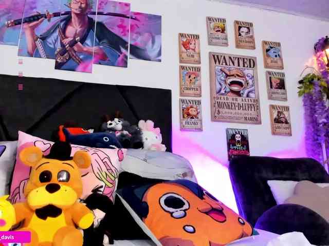 Zaradavis webcam