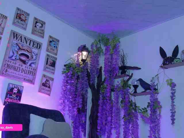Zaradavis webcam