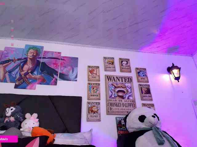Zaradavis webcam