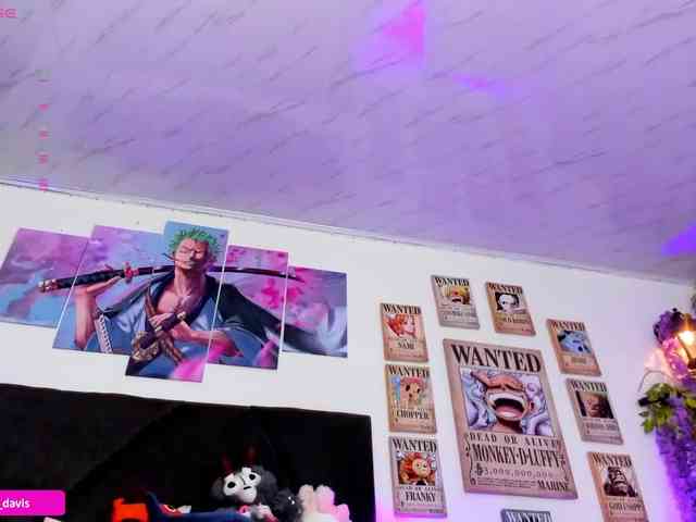 Zaradavis webcam