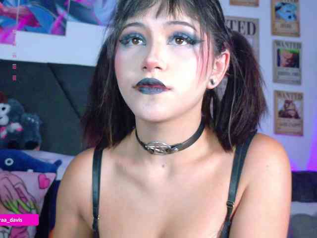 Zaradavis webcam