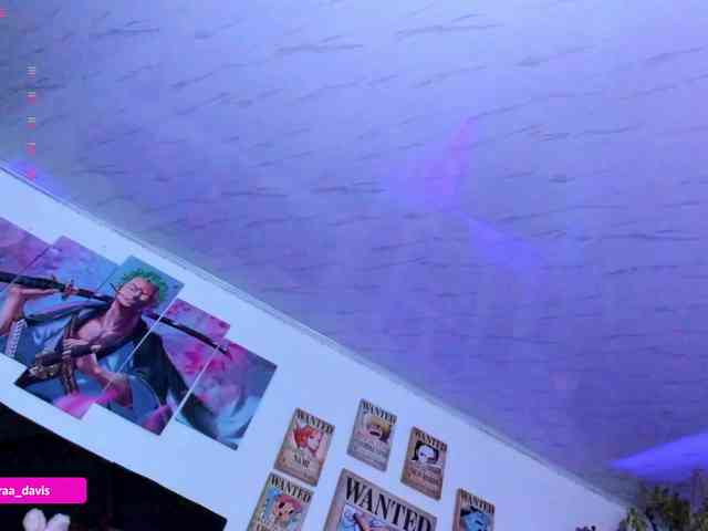 Zaradavis webcam