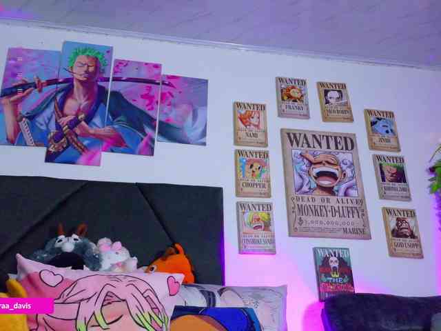 Zaradavis webcam