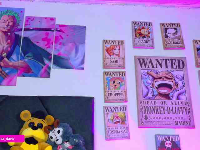 Zaradavis webcam