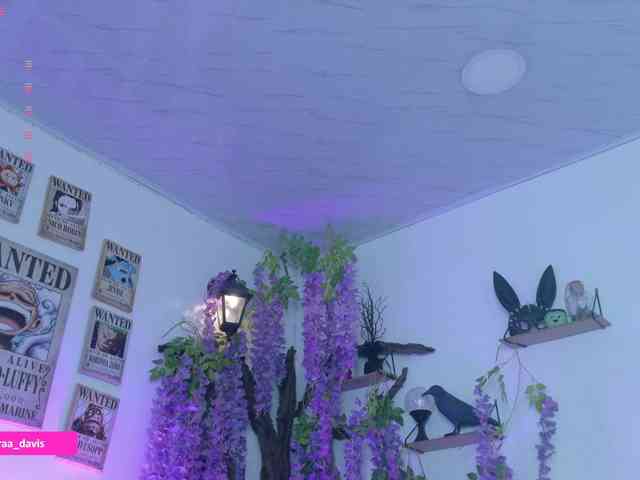 Zaradavis webcam