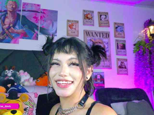 Zaradavis webcam