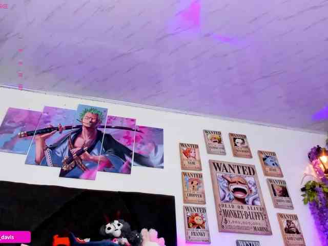 Zaradavis webcam
