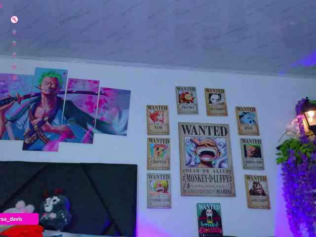 Zaradavis webcam