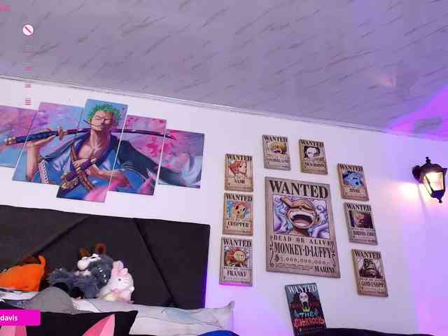 Zaradavis webcam