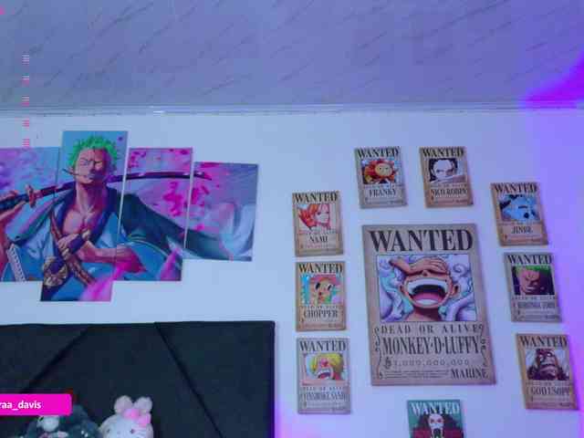Zaradavis webcam