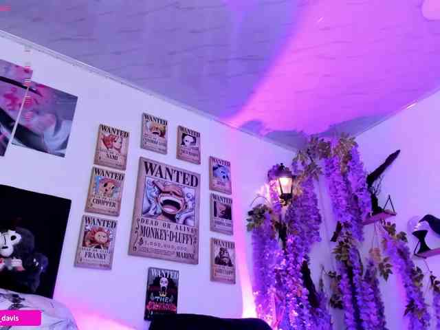 Zaradavis webcam