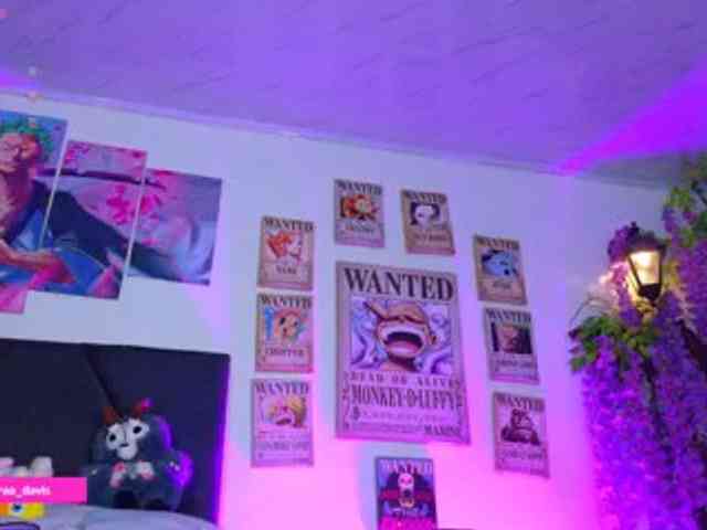 Zaradavis webcam