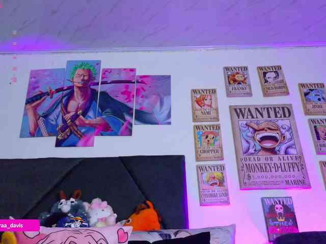 Zaradavis webcam