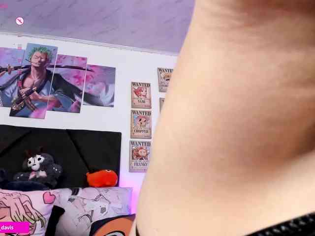 Zaradavis webcam