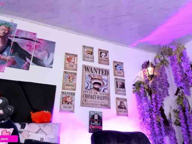 Zaradavis webcam